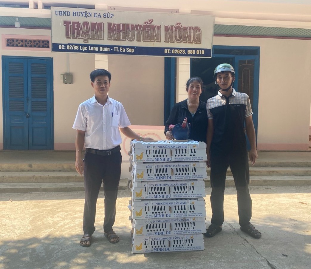 bàn giao gà cho hộ chăn nuôi tại thị trấn Ea Súp